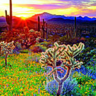 Off the Beaten Path - Tours in SW Colorado