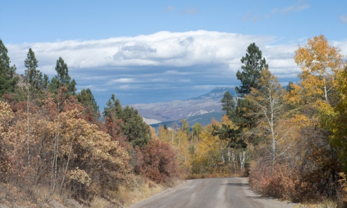 Telluride Colorado Roads