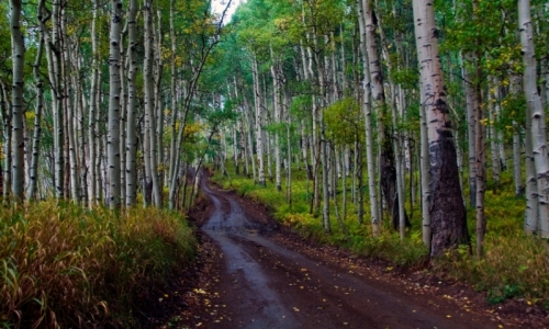 Last Dollar Road Telluride Colorado