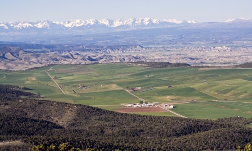 Montrose CO