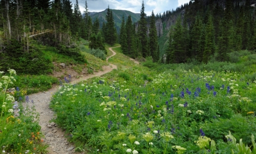 Telluride Hiking Trails