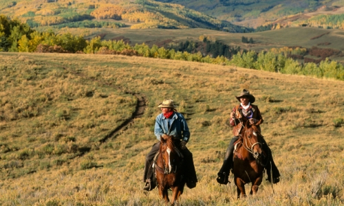 Telluride Horseback Riding