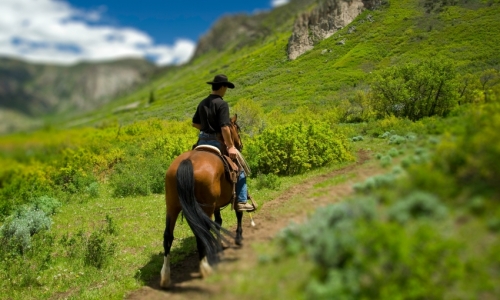 Telluride Colorado Horseback Riding