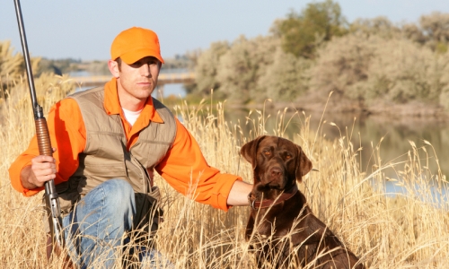 Telluride Colorado Hunting