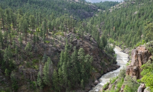 Animas River Colorado White Water Rafting