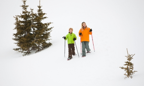 Telluride Snowshoeing