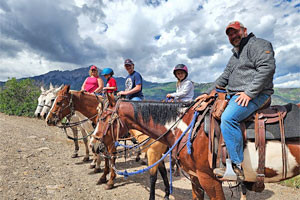 Action Adventures Ouray Trail Rides
