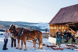 Book All Winter Tours & Activities in One Place