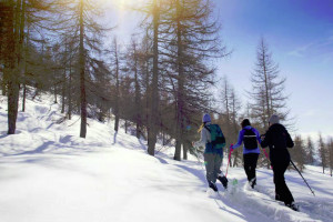 Immerse Yourself in Nature - Guided Snowshoe Tour