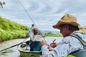Guided Fly Fishing Trips | Telluride Tourbase