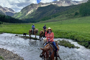 Telluride Tourbase - guided trail rides