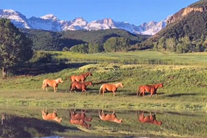 Enjoy the Maverick Ride at Baker Ranch - Telluride