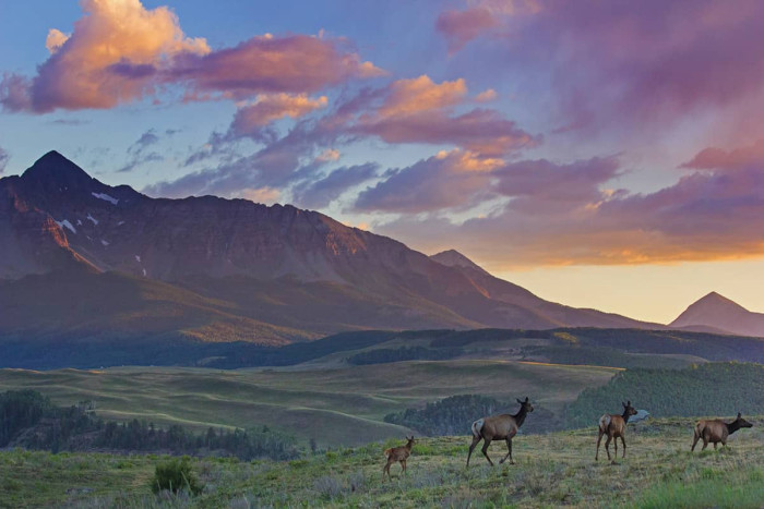 Inn At Lost Creek — Telluride, CO