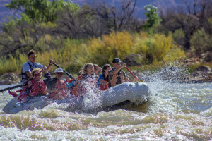 Mild To Wild Rafting & Jeep Tours