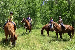 Ouray Ranch Horseback Adventures Trail Riding