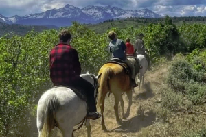 Enjoy the Maverick Ride at Baker Ranch - Telluride