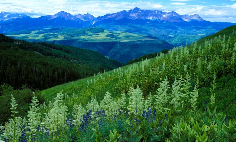 Mount Wilson in the San Juan Mountains