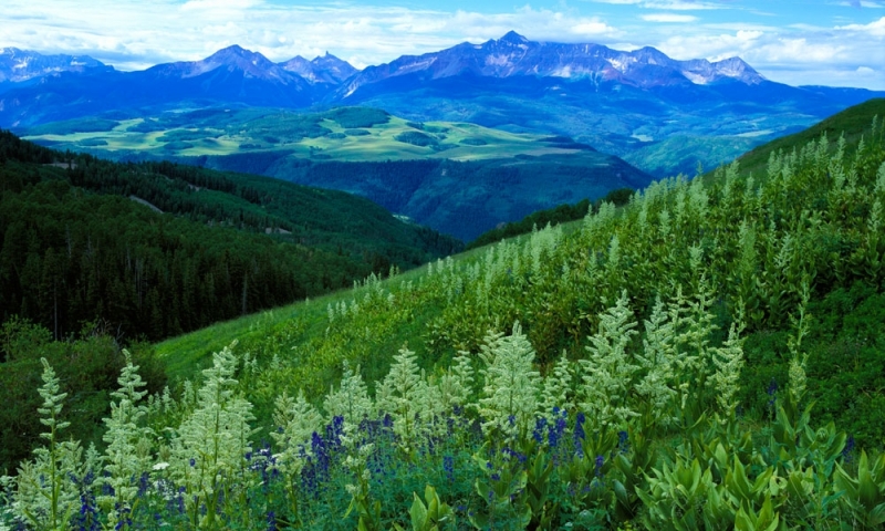 Mount Wilson in the San Juan Mountains