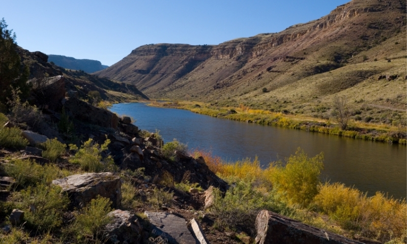 Gunnison River