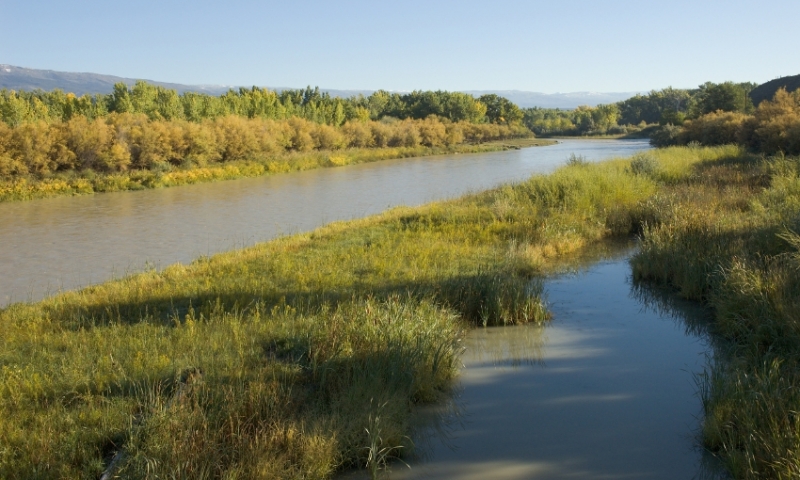 Gunnison River