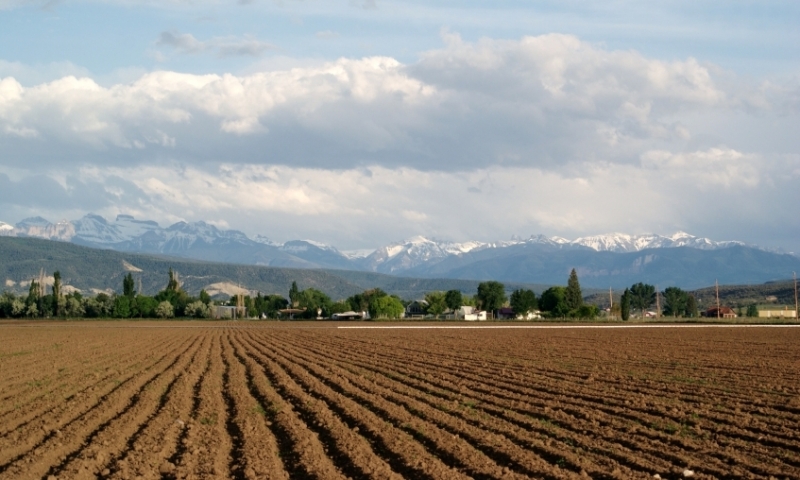 A Farm in Montrose Colorado