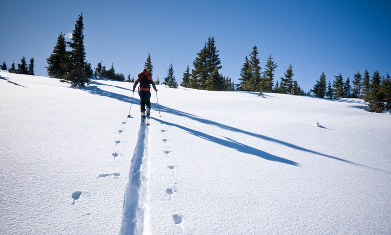 Skiing Backcountry Hiking Winter