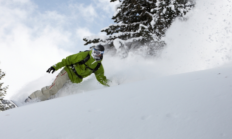 Skiing Powder Snowboarding