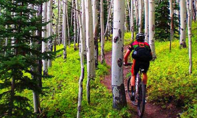 Mountain Biking in Telluride Colorado