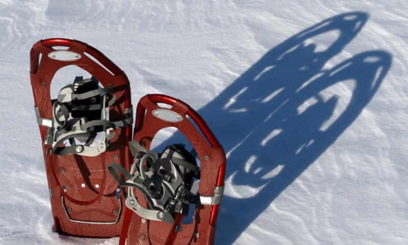 Snowshoes Snowshoeing