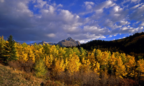 Mount Sneffels Wilderness