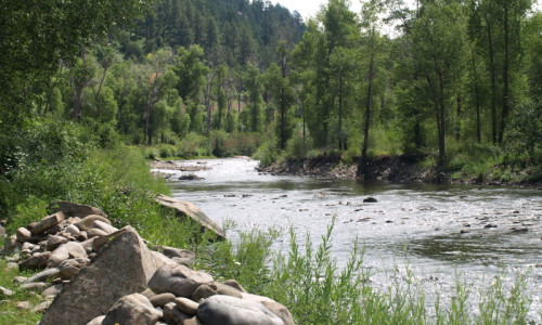 San Juan National Forest