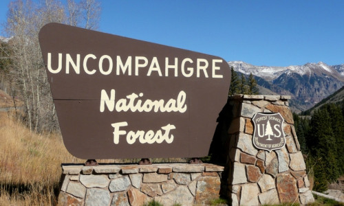 Uncompahgre National Forest