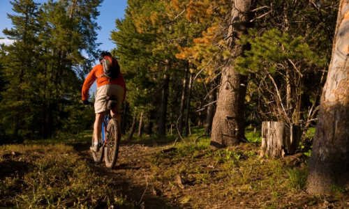 Biking & Bike Rentals