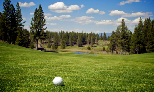 Golf Courses