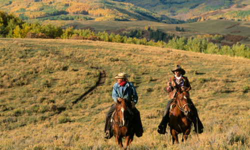 Horseback Riding