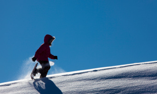 Snowshoeing
